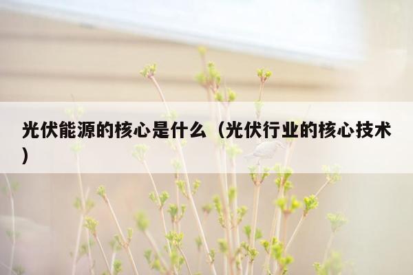 光伏能源的核心是什么（光伏行业的核心技术）