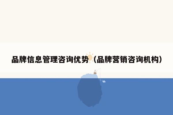 品牌信息管理咨询优势（品牌营销咨询机构）