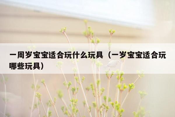 一周岁宝宝适合玩什么玩具（一岁宝宝适合玩哪些玩具）