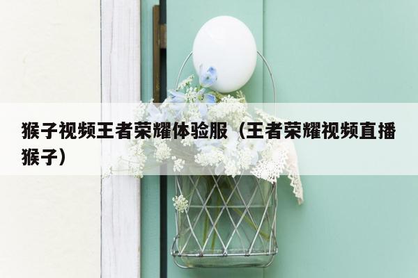 猴子视频王者荣耀体验服（王者荣耀视频直播猴子）
