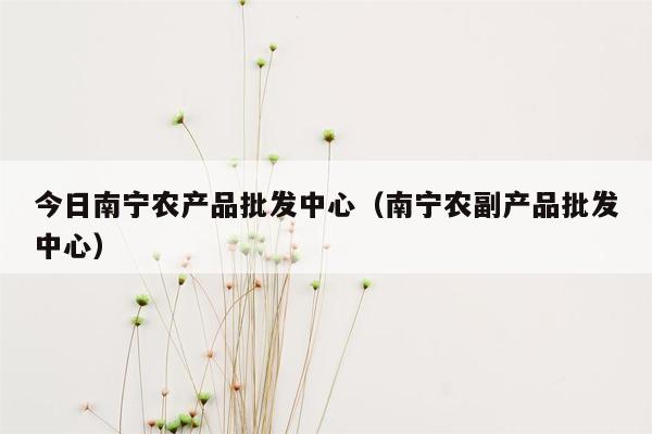 今日南宁农产品批发中心（南宁农副产品批发中心）