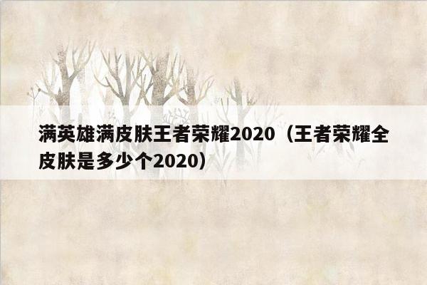 满英雄满皮肤王者荣耀2020（王者荣耀全皮肤是多少个2020）