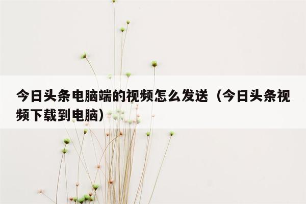 今日头条电脑端的视频怎么发送（今日头条视频下载到电脑）