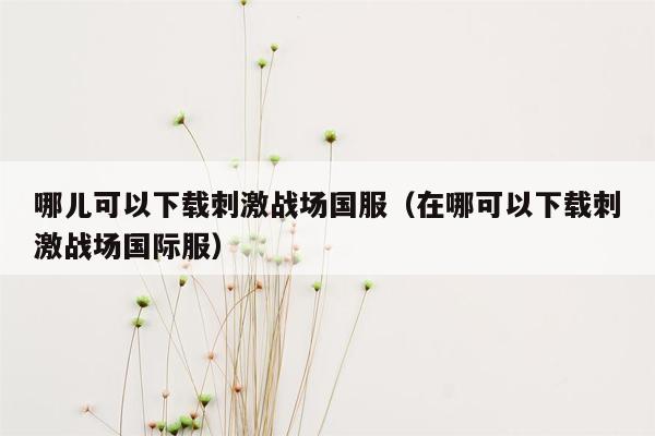 哪儿可以下载刺激战场国服（在哪可以下载刺激战场国际服）