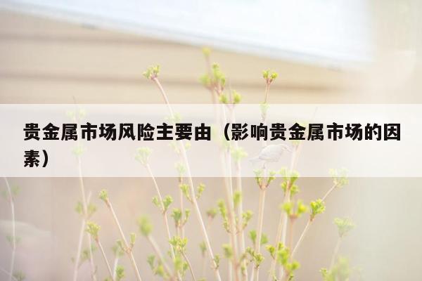 贵金属市场风险主要由（影响贵金属市场的因素）