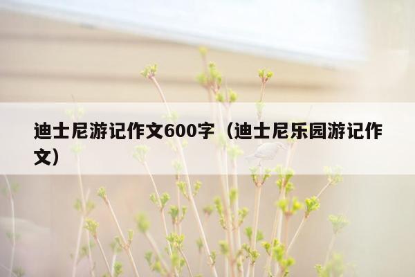 迪士尼游记作文600字（迪士尼乐园游记作文）