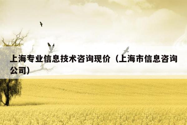上海专业信息技术咨询现价（上海市信息咨询公司）