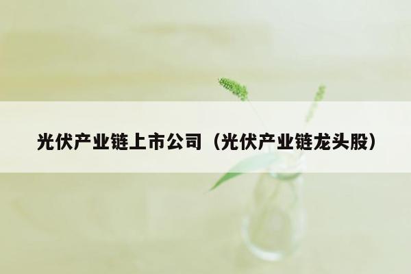 光伏产业链上市公司（光伏产业链龙头股）
