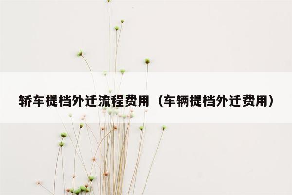 轿车提档外迁流程费用（车辆提档外迁费用）