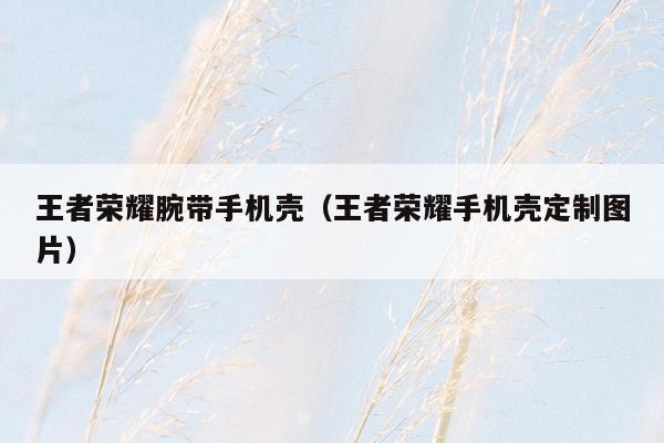 王者荣耀腕带手机壳（王者荣耀手机壳定制图片）