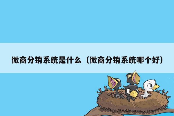 微商分销系统是什么（微商分销系统哪个好）