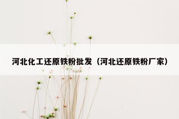 河北化工还原铁粉批发（河北还原铁粉厂家）