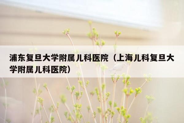 浦东复旦大学附属儿科医院（上海儿科复旦大学附属儿科医院）