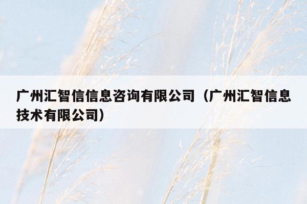广州汇智信信息咨询有限公司（广州汇智信息技术有限公司）