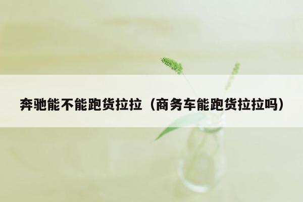 奔驰能不能跑货拉拉（商务车能跑货拉拉吗）