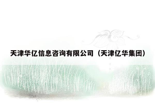 天津华亿信息咨询有限公司（天津亿华集团）