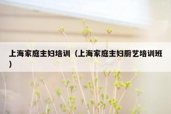 上海家庭主妇培训（上海家庭主妇厨艺培训班）