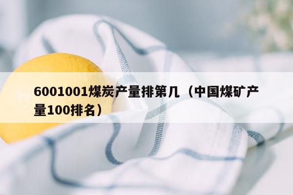 6001001煤炭产量排第几（中国煤矿产量100排名）