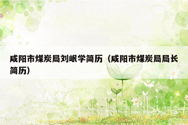 咸阳市煤炭局刘岷学简历（咸阳市煤炭局局长简历）