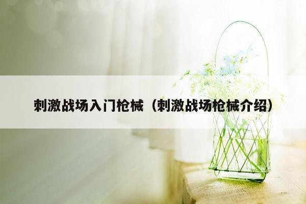 刺激战场入门枪械（刺激战场枪械介绍）