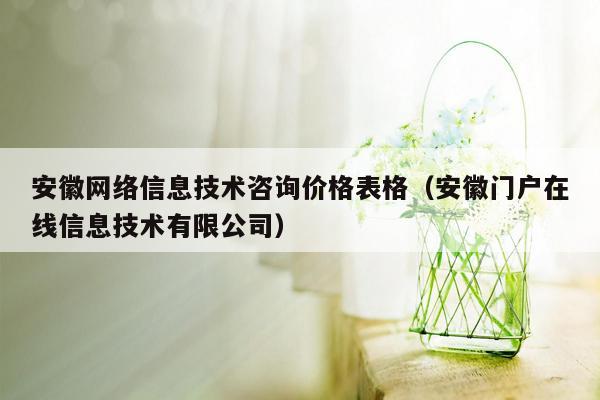 安徽网络信息技术咨询价格表格（安徽门户在线信息技术有限公司）