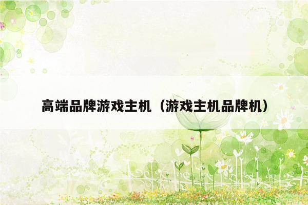 高端品牌游戏主机（游戏主机品牌机）