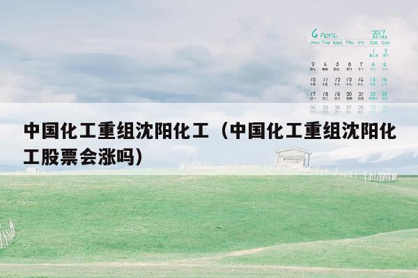 中国化工重组沈阳化工（中国化工重组沈阳化工股票会涨吗）