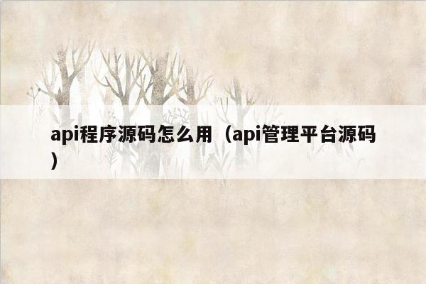 api程序源码怎么用（api管理平台源码）