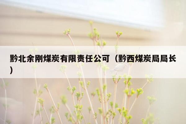 黔北余刚煤炭有限责任公可（黔西煤炭局局长）