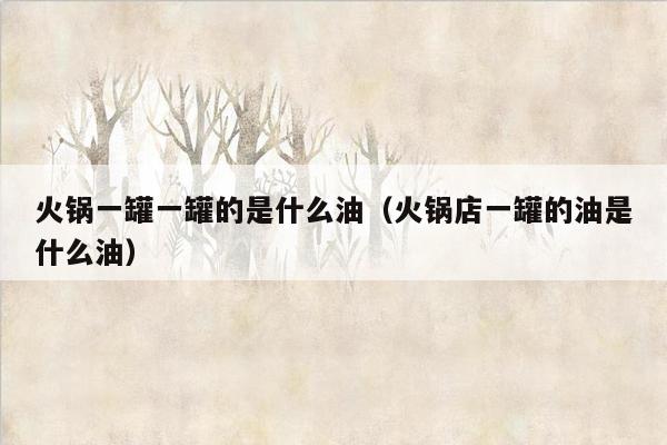 火锅一罐一罐的是什么油（火锅店一罐的油是什么油）