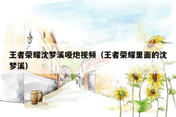 王者荣耀沈梦溪哑炮视频（王者荣耀里面的沈梦溪）