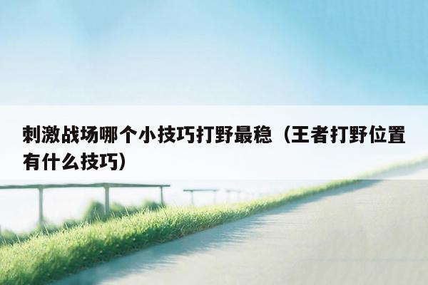 刺激战场哪个小技巧打野最稳（王者打野位置有什么技巧）