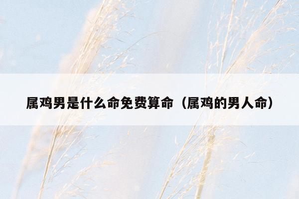属鸡男是什么命免费算命（属鸡的男人命）