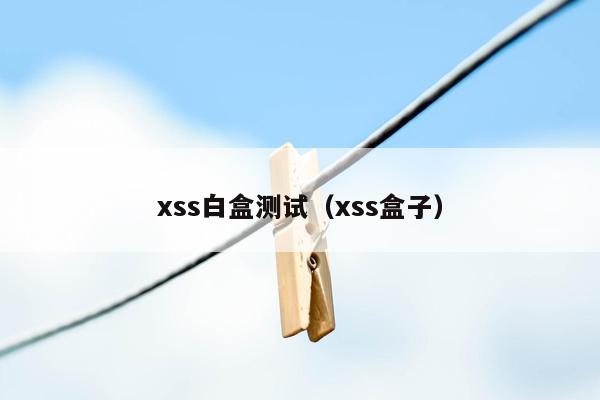 xss白盒测试（xss盒子）