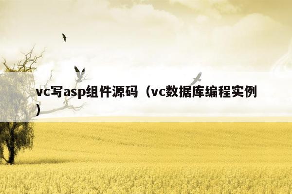 vc写asp组件源码（vc数据库编程实例）