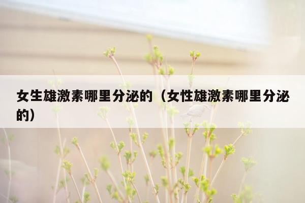 女生雄激素哪里分泌的（女性雄激素哪里分泌的）