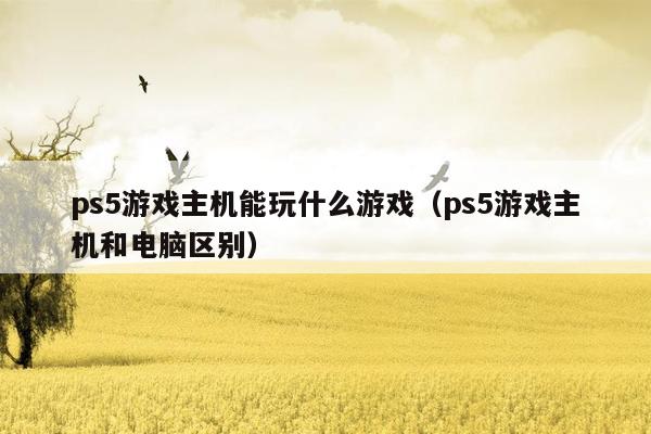 ps5游戏主机能玩什么游戏（ps5游戏主机和电脑区别）