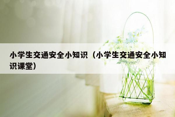 小学生交通安全小知识（小学生交通安全小知识课堂）