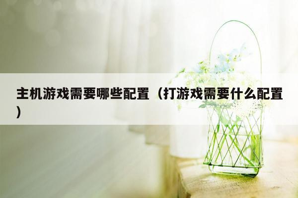 主机游戏需要哪些配置（打游戏需要什么配置）