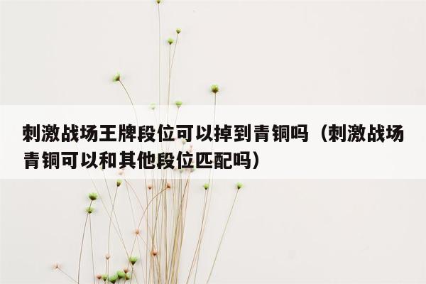 刺激战场王牌段位可以掉到青铜吗（刺激战场青铜可以和其他段位匹配吗）