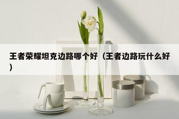 王者荣耀坦克边路哪个好（王者边路玩什么好）