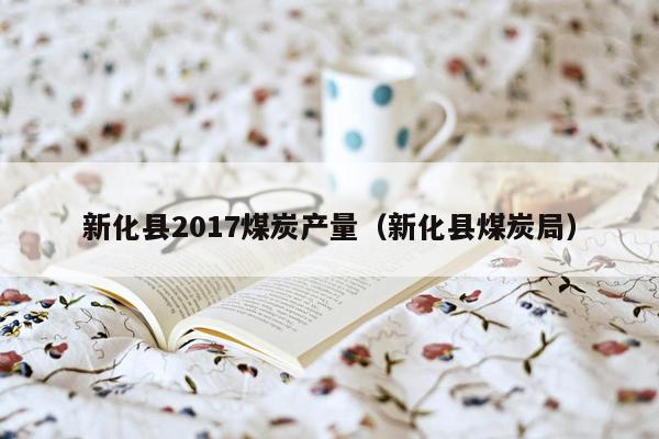 新化县2017煤炭产量（新化县煤炭局）