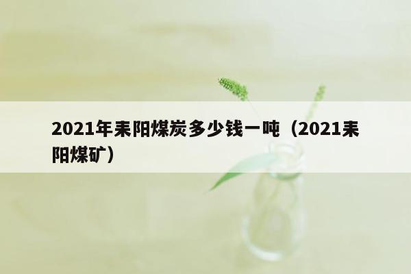 2021年耒阳煤炭多少钱一吨（2021耒阳煤矿）