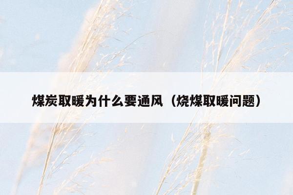煤炭取暖为什么要通风（烧煤取暖问题）
