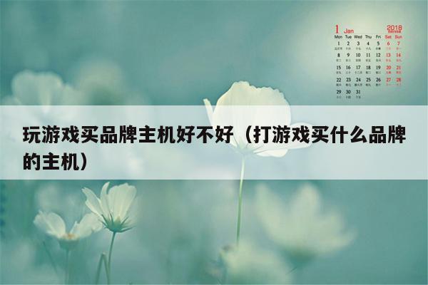 玩游戏买品牌主机好不好（打游戏买什么品牌的主机）