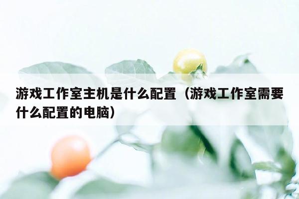 游戏工作室主机是什么配置（游戏工作室需要什么配置的电脑）