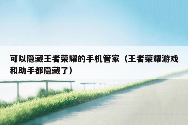可以隐藏王者荣耀的手机管家（王者荣耀游戏和助手都隐藏了）