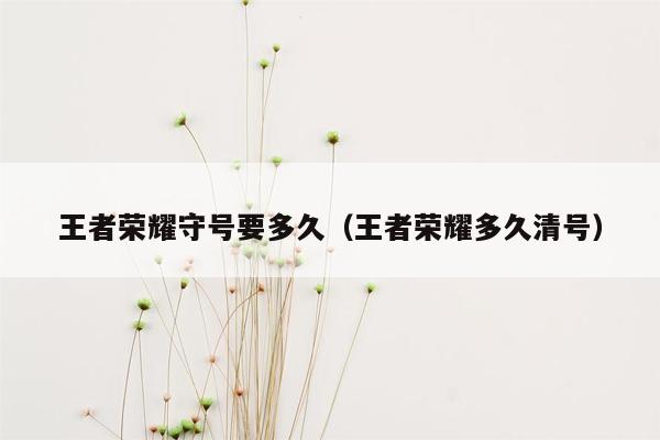 王者荣耀守号要多久（王者荣耀多久清号）