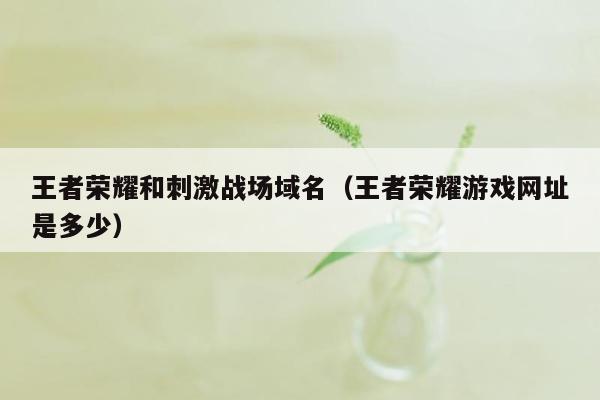 王者荣耀和刺激战场域名（王者荣耀游戏网址是多少）