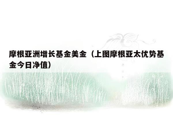 摩根亚洲增长基金美金（上图摩根亚太优势基金今日净值）